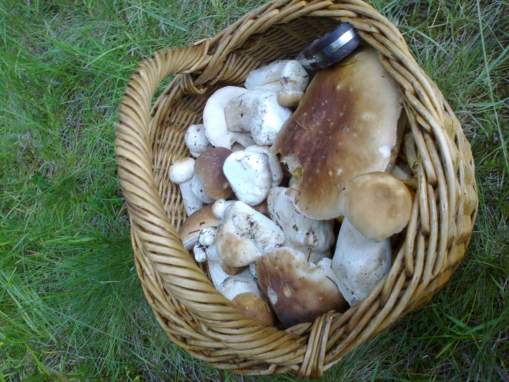 Penzion Pod Kycerou Zuberec Buitenkant foto